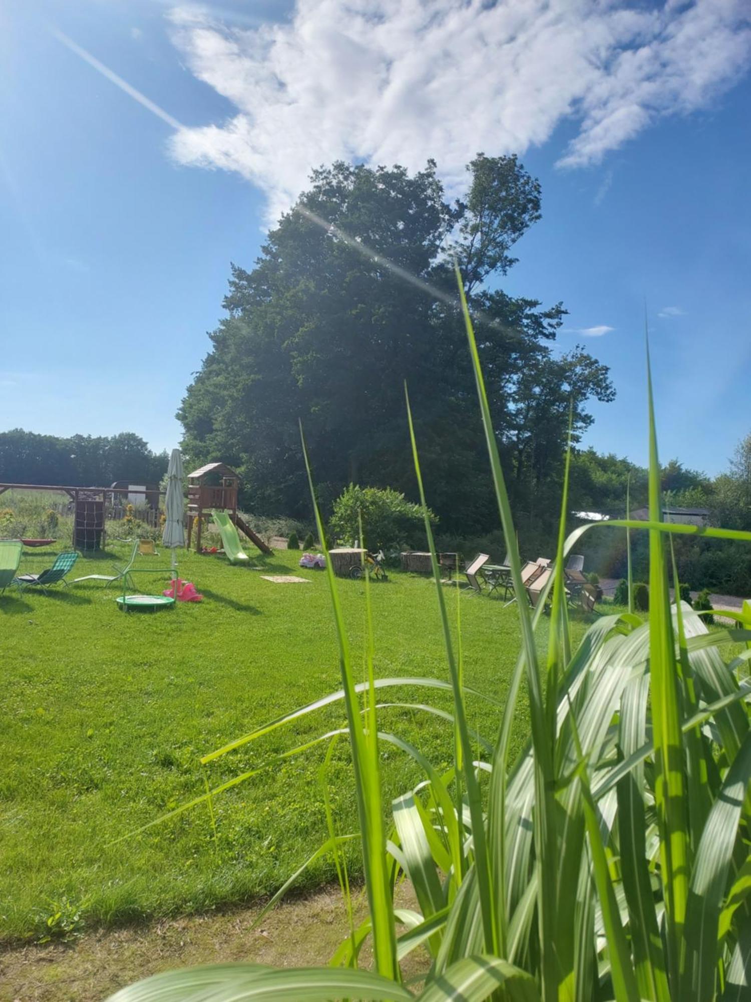 Paprotowka Apartament Wiosenny Paprotno Exteriör bild